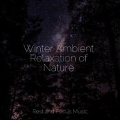 Winter Ambient Relaxation of Nature