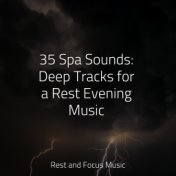 35 Spa Sounds: Deep Tracks for a Rest Evening Music