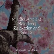 Mindful Ambient Melodies | Relaxation and Sleep