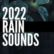2022 Rain Sounds