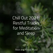 Chill Out 2021: Restful Tracks for Meditation and Sleep