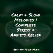 Calm & Slow Melodies | Complete Stress & Anxiety Relief