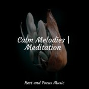 Calm Melodies | Meditation