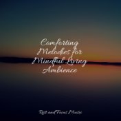 Comforting Melodies for Mindful Living Ambience