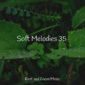 Soft Melodies 35