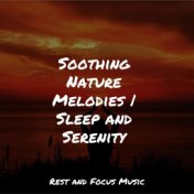 Soothing Nature Melodies | Sleep and Serenity