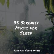 35 Serenity Music for Sleep