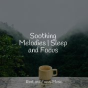 Soothing Melodies | Sleep and Focus
