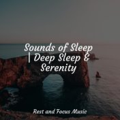 Sounds of Sleep | Deep Sleep & Serenity