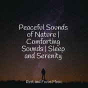 Peaceful Sounds of Nature | Comforting Sounds | Sleep and Serenity