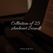 Collection of 25 Ambient Sounds