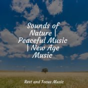 Sounds of Nature | Peaceful Music | New Age Music