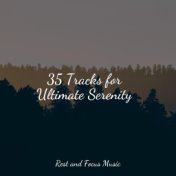35 Tracks for Ultimate Serenity