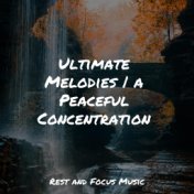 Ultimate Melodies | a Peaceful Concentration