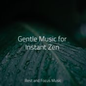 Gentle Music for Instant Zen