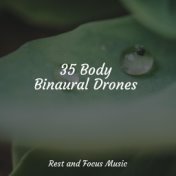 35 Body Binaural Drones