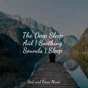 The Deep Sleep Aid | Soothing Sounds | Sleep