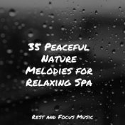 35 Peaceful Nature Melodies for Relaxing Spa