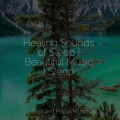 Healing Sounds of Sleep | Beautiful Music | Sleep