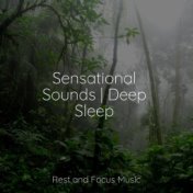 Sensational Sounds | Deep Sleep