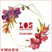 Ai grija de ea | Vetlove Remix