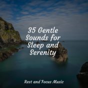 35 Gentle Sounds for Sleep and Serenity