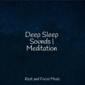 Deep Sleep Sounds | Meditation