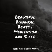 Beautiful Binaural Beats | Meditation and Sleep
