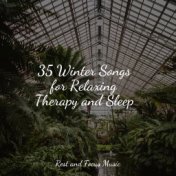 35 Winter Songs for Relaxing Therapy and Sleep