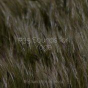 #35 Sounds for Yoga