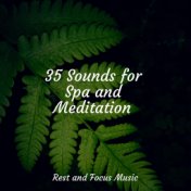 35 Sounds for Spa and Meditation