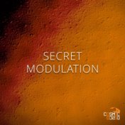 Secret Modulation