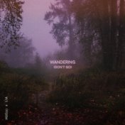 Wandering (Don't Go)