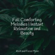 Fall Comforting Melodies | Instant Relaxation and Beauty