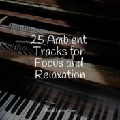 25 Ambient Tracks for Focus and Relaxation