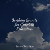 Soothing Sounds for Complete Relaxation