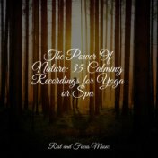 The Power Of Nature: 35 Calming Recordings for Yoga or Spa