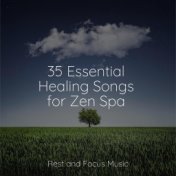 35 Essential Healing Songs for Zen Spa