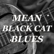 Mean Black Cat Blues