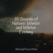 35 Sounds of Nature: Winter and Winter Evening