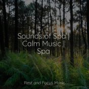 Sounds of Spa | Calm Music | Spa