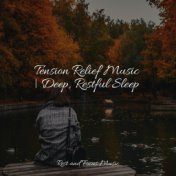 Tension Relief Music | Deep, Restful Sleep