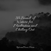 35 Sounds of Nature for Meditation and Chilling Out