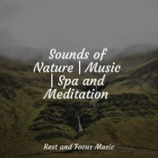 Sounds of Nature | Music | Spa and Meditation