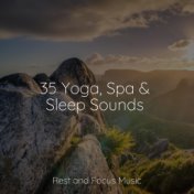 35 Yoga, Spa & Sleep Sounds