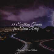 35 Soothing Tracks for Stress Relief