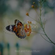 #35 Pure Meditation Music