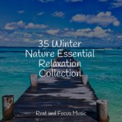 35 Winter Nature Essential Relaxation Collection