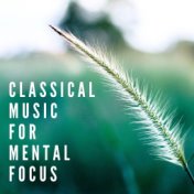Classical Music For Mental Focus