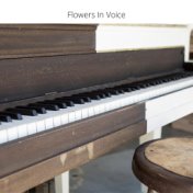 Flowers In Voice